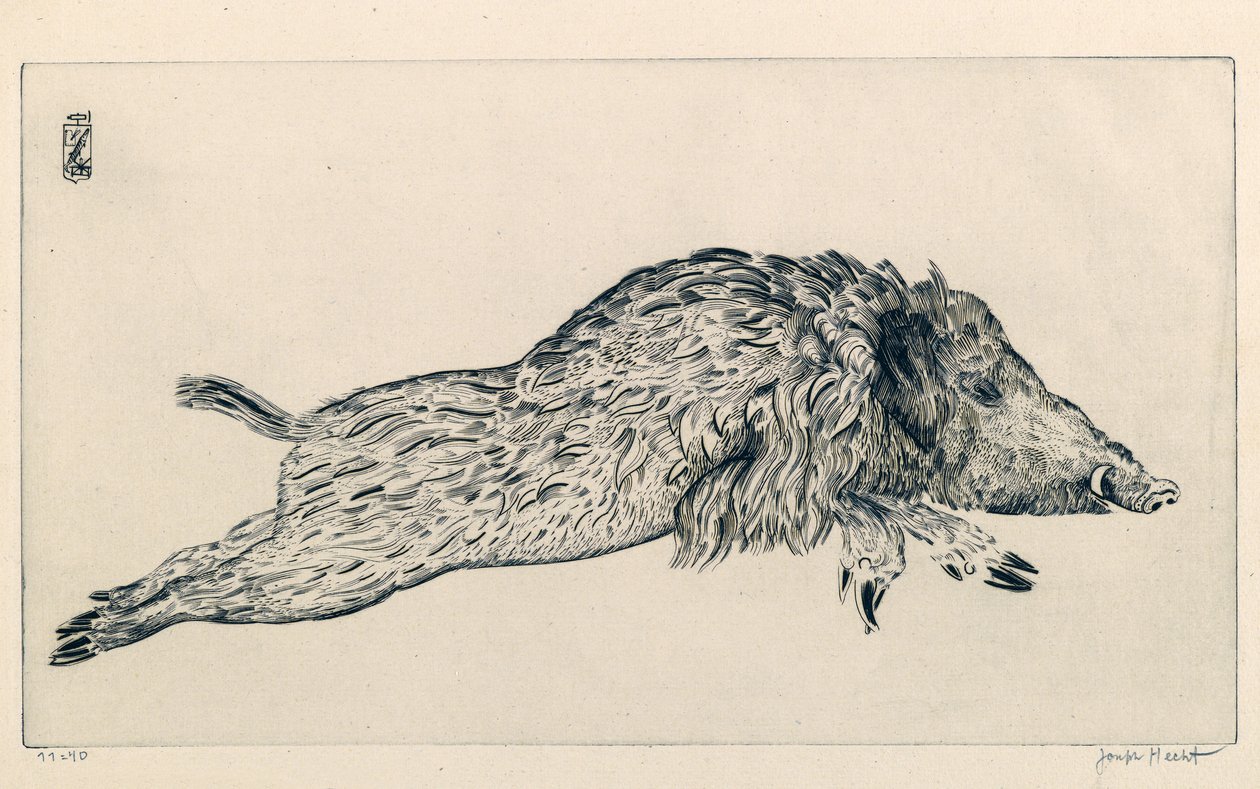 Vildsvin (Le Sanglier) (gravyr) av Joseph Hecht