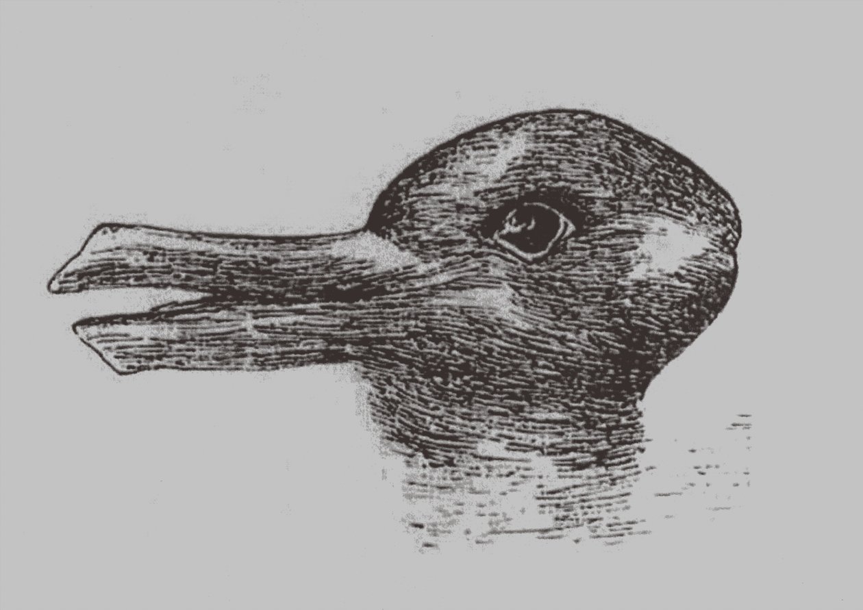 Anka-kanin illusion. Från: Jastrow, J. The mind