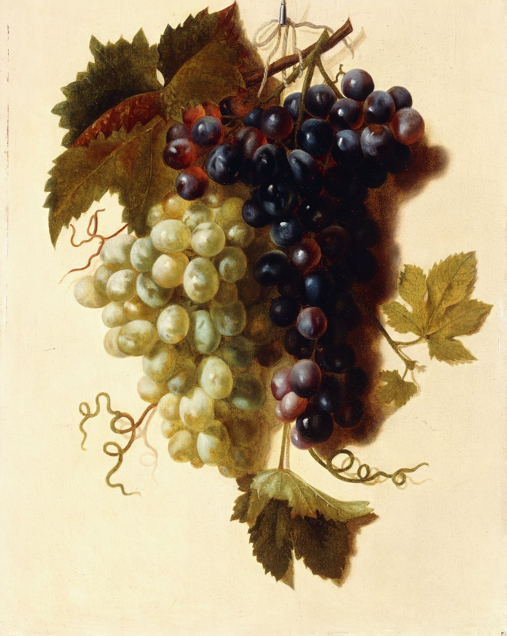 Klasar av gröna och röda druvor upphängda i ett rep, c.1796 av Joseph Laurent Malaine