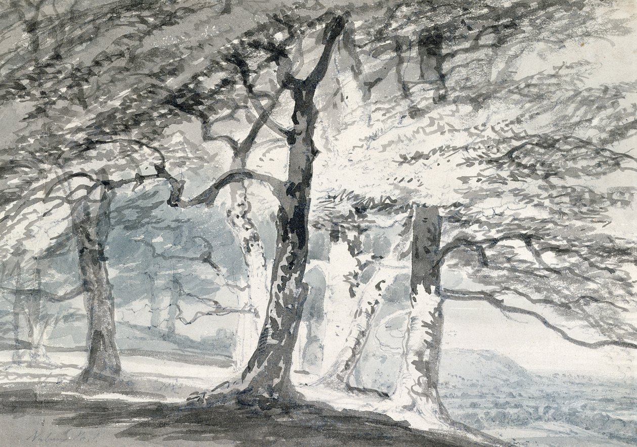 Norbury Park, Surrey (penna och akvarell på papper) av Joseph Mallord William (attr.to) Turner