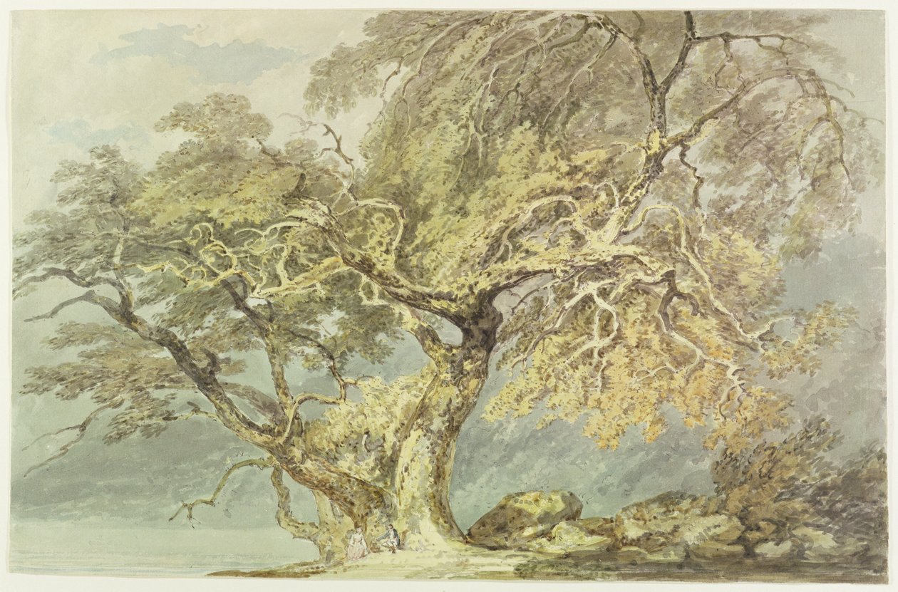 A Great Tree, c.1796 (wc över grafit på papper) av Joseph Mallord William Turner