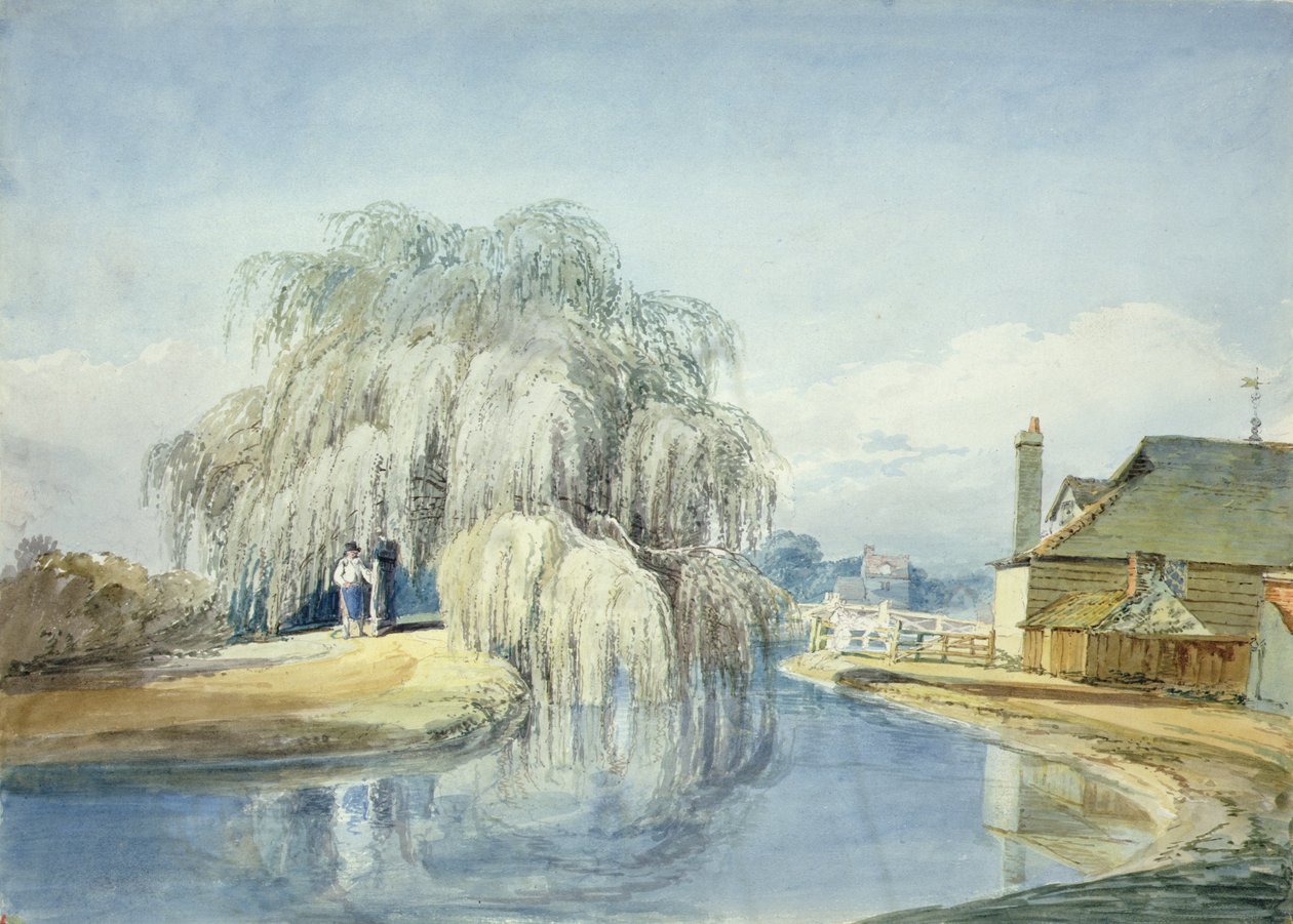 A Weeping Willow (akvarell på papper) av Joseph Mallord William Turner