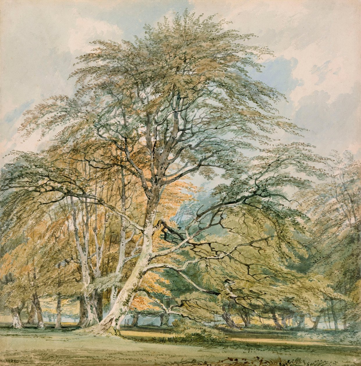 Bokar i Norbury Park, Leatherhead, Surrey av Joseph Mallord William Turner