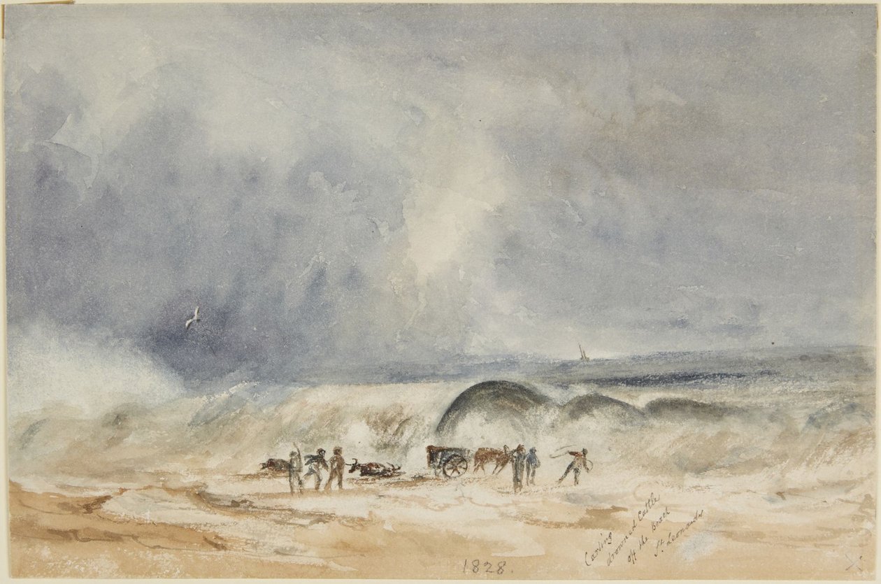 Bortforsling av drunknade nötkreatur från stranden i St. Leonards av Joseph Mallord William Turner