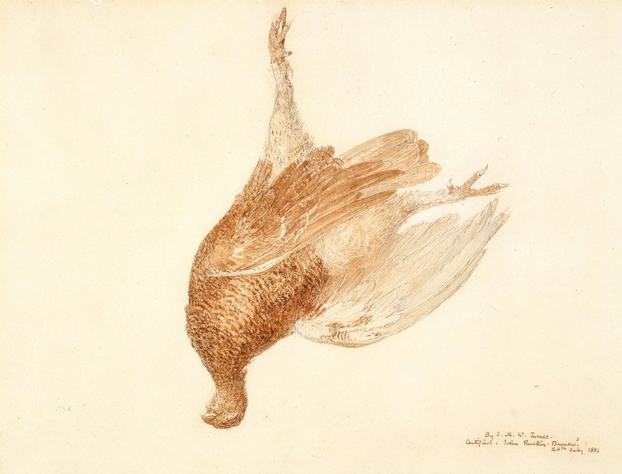 Död tjäder av Joseph Mallord William Turner