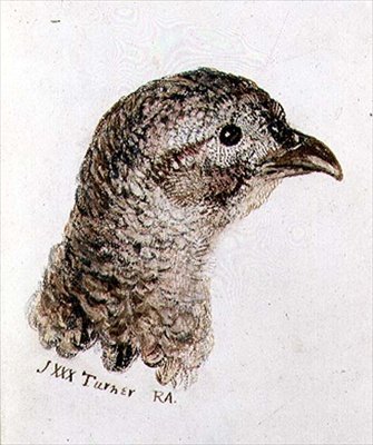 Hen Pheasant, från The Farnley Book of Birds, ca 1816 (penna & bläck och akvarell på papper) av Joseph Mallord William Turner