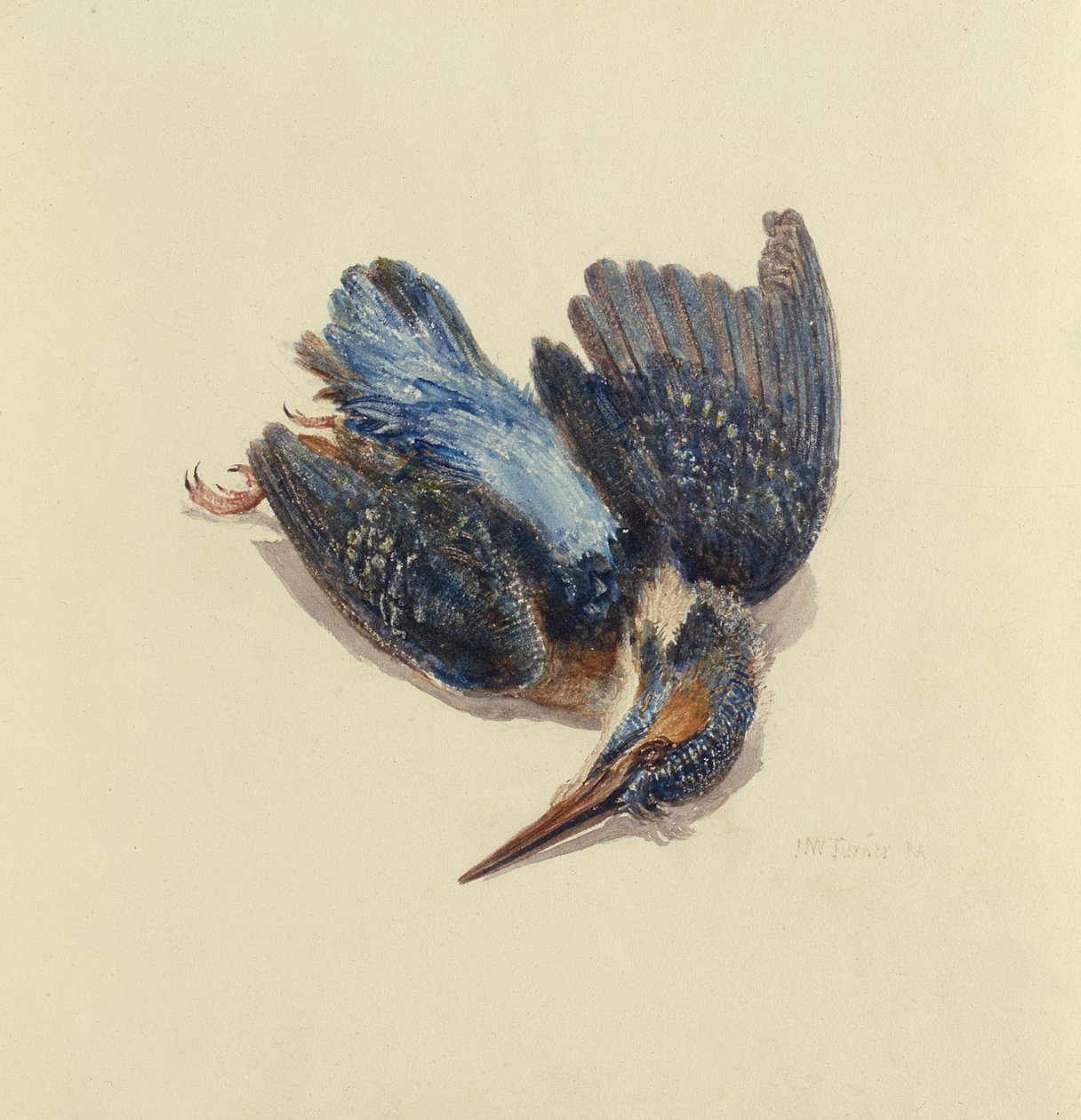 Kingfisher, från The Farnley Book of Birds, ca 1816 (penna & bläck och akvarell på papper) av Joseph Mallord William Turner