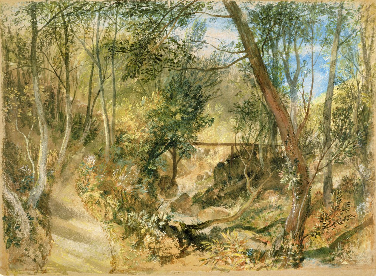 PD.50-1958 The Woodwalk, Farnley Hall, ca 1818 (wc och gouache) av Joseph Mallord William Turner