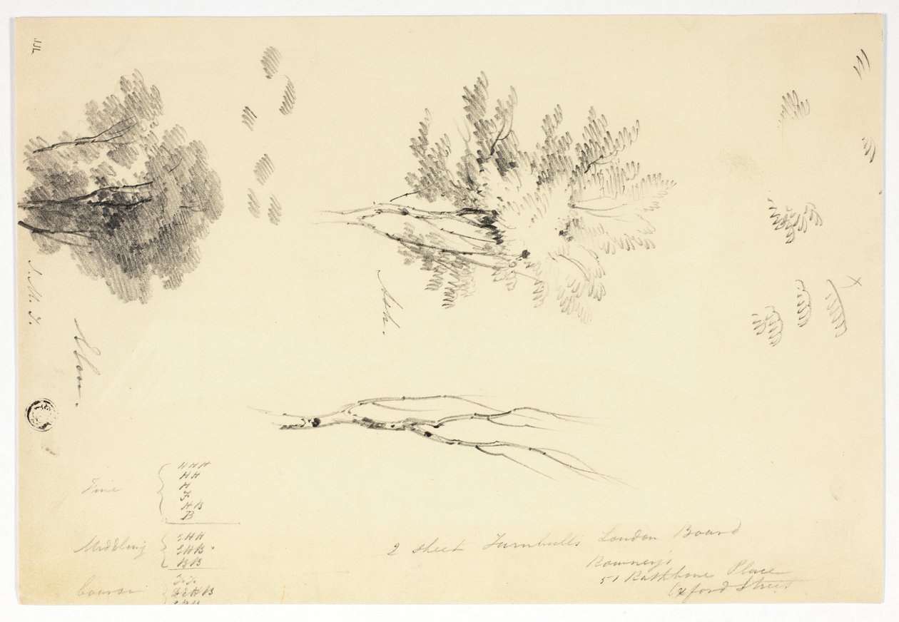 Skisser av almar och askar av Joseph Mallord William Turner