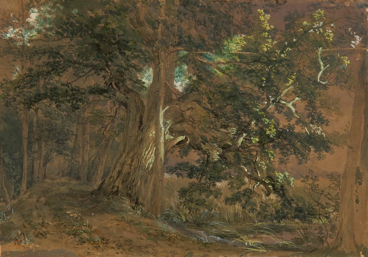 Skogsinteriör nära Lundenburg (lönngrupp vid en fjällsjö) av Joseph Martin Höger