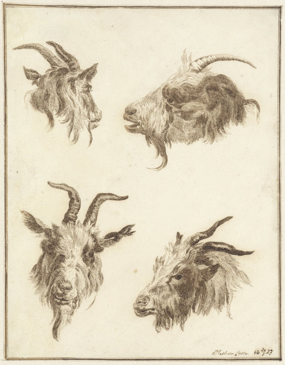 Fyra studier av gethuvuden av Joseph Mendes da Costa