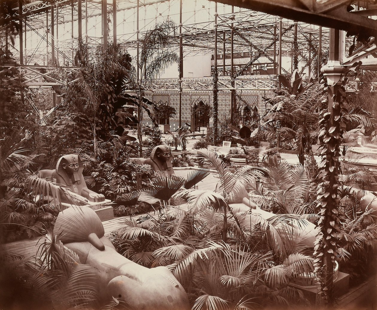 Crystal Palace i London: den tropiska delen, ca 1870 (s/v foto) av Joseph Paxton