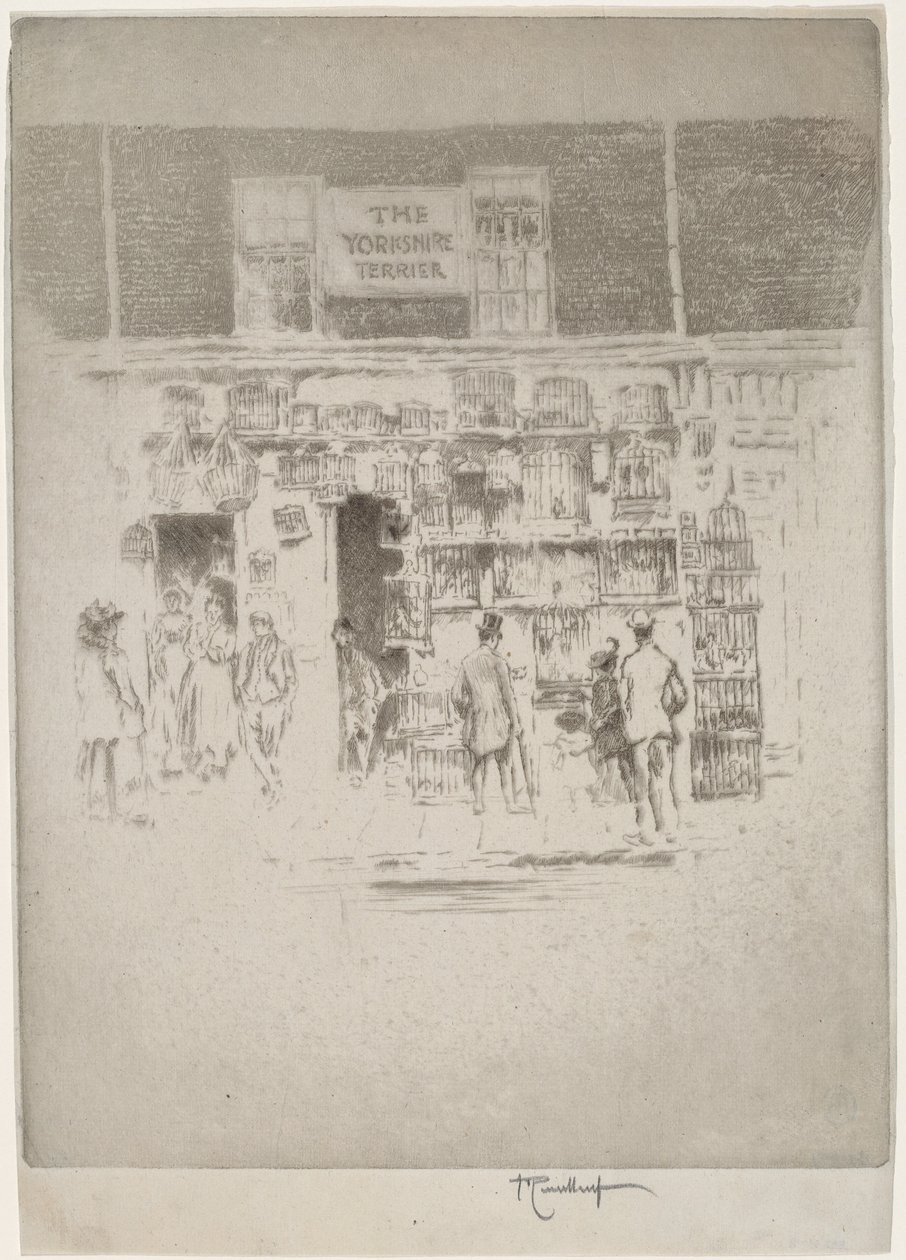 Yorkshireterriern av Joseph Pennell