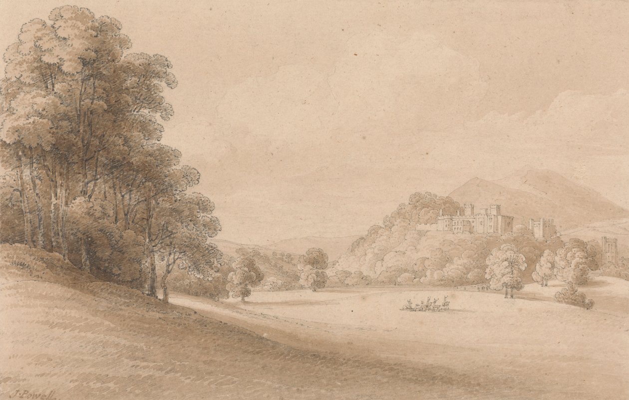 Dunster Castle, Somerset: Visar slottet på avstånd av Joseph Powell