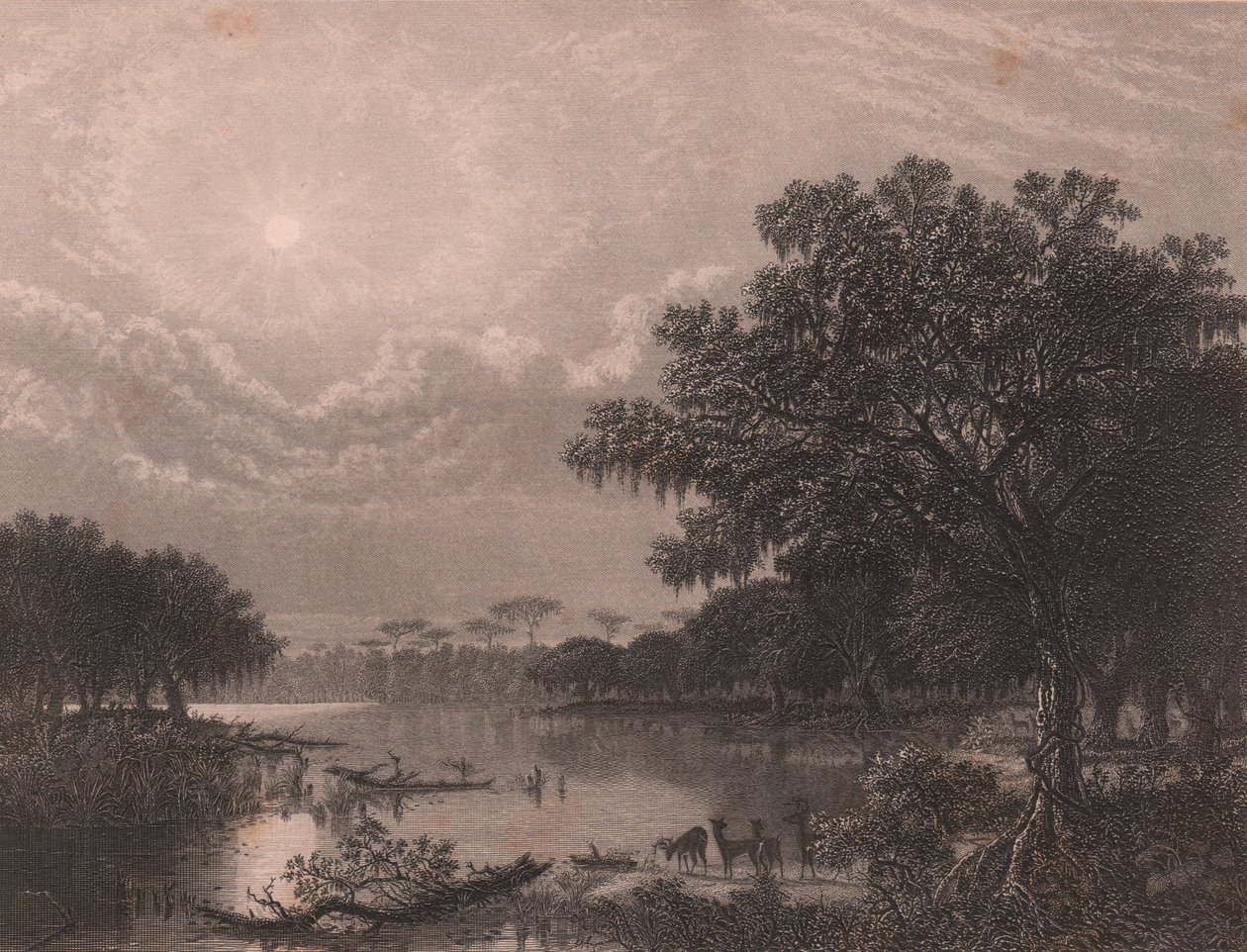 Louisiana Bayou, USA, stålstick av Robert Hinshelwood (1812-efter 1875) efter målning av Joseph Rusling Meeker (1827-1889), cirka 16x18 cm av Joseph Rusling Meeker