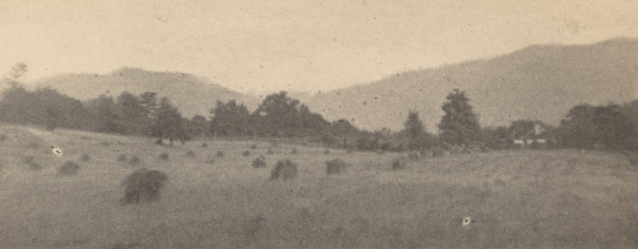 Landskap med träd och berg,ca. 1900 (foto) av Joseph T. Keiley