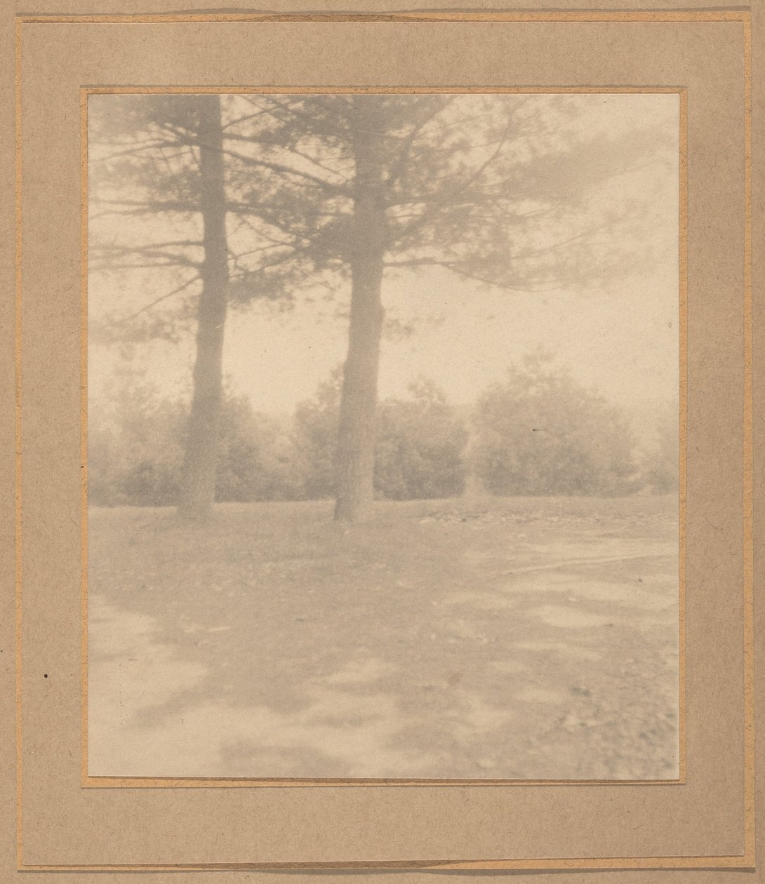Landskap med träd,ca. 1900 (foto) av Joseph T. Keiley