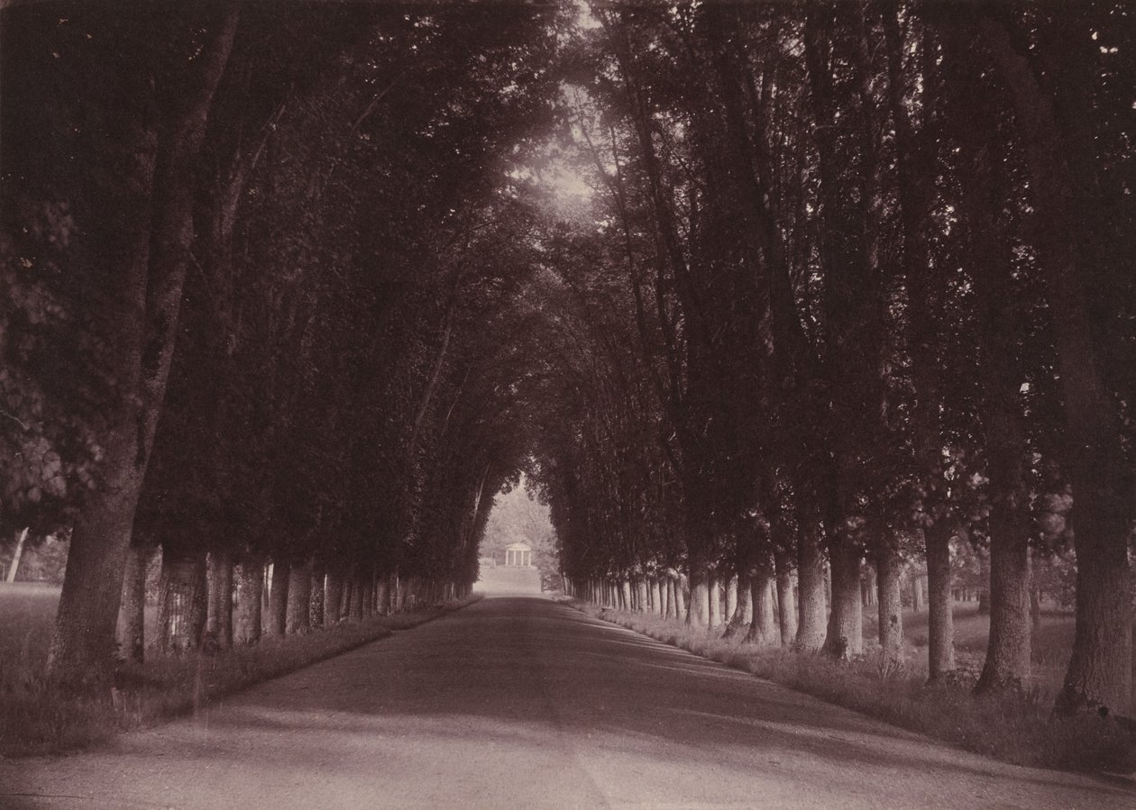 Uppfart, Château de Grand-Vaux, Savigny-sur-Orge, Vigiers familjehem,ca 1855 (foto) av Joseph Vigier