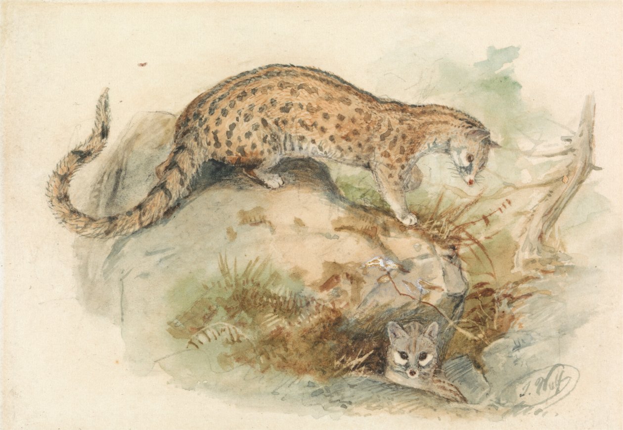 ryttare av Joseph Wolf