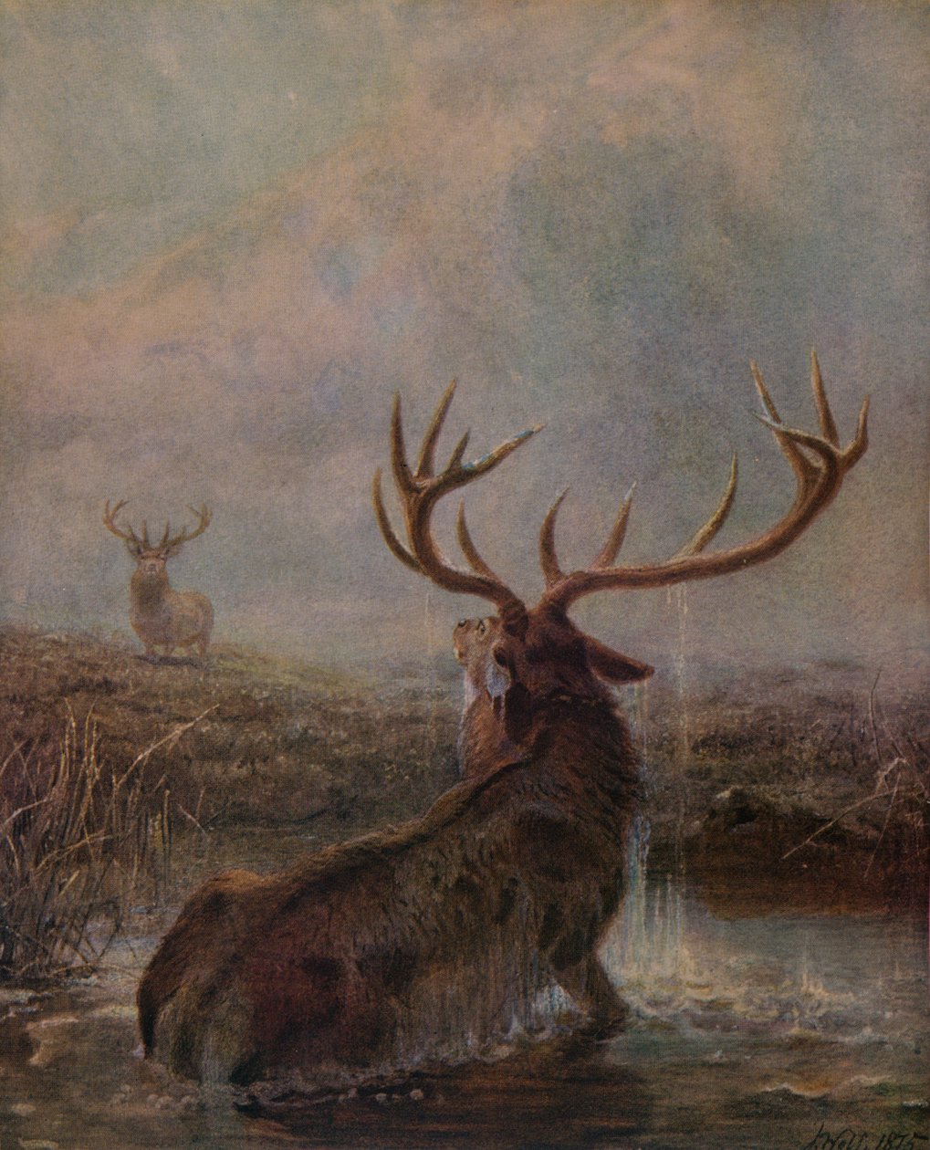 Avbruten, 1875, 1938 av Joseph Wolf