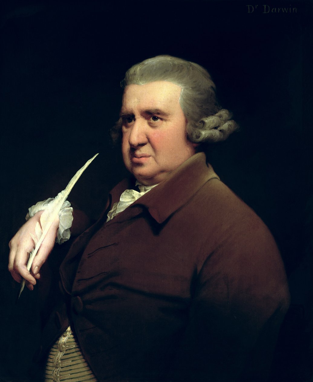 Porträtt av Dr Erasmus Darwin (1731-1802) vetenskapsman, uppfinnare och poet, farfar till Charles Darwin av Joseph Wright of Derby