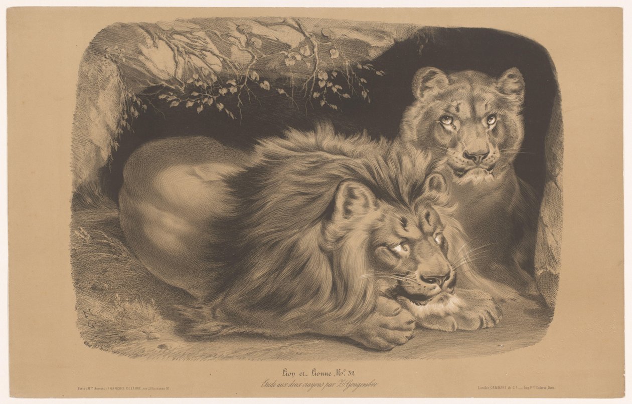 Lejon och lejoninna Lion et Lionne (titel på objekt) Djurstudier i två typer av krita (serietitel) Étude aux deux crayons par Z. Gengembre (serietitel på objekt) av Joseph Zephyris Gengembre