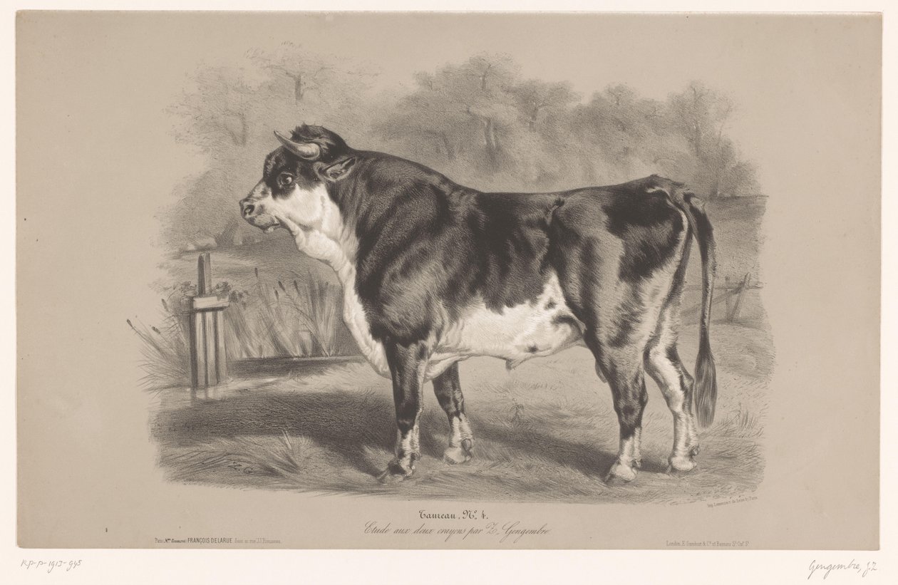 Tjur på en äng Taureau (titel på objekt) Djurstudier i två typer av krita (serietitel) Etude aux deux crayons par Z. Gengembre (serietitel på objekt) av Joseph Zephyris Gengembre