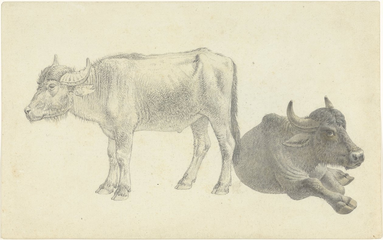 Liggande och stående ko av Josephus Augustus Knip