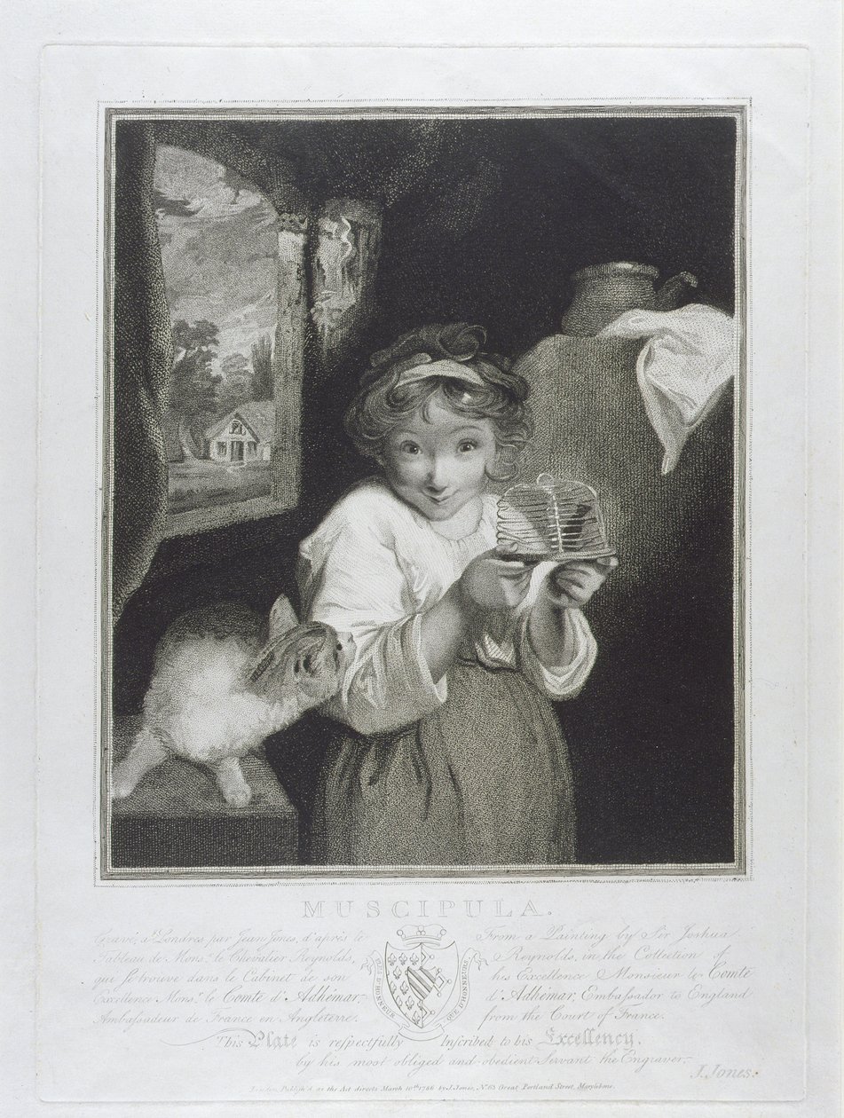 Muscipula, graverad av John Jones (ca 1745-97) 1786 av Joshua Reynolds