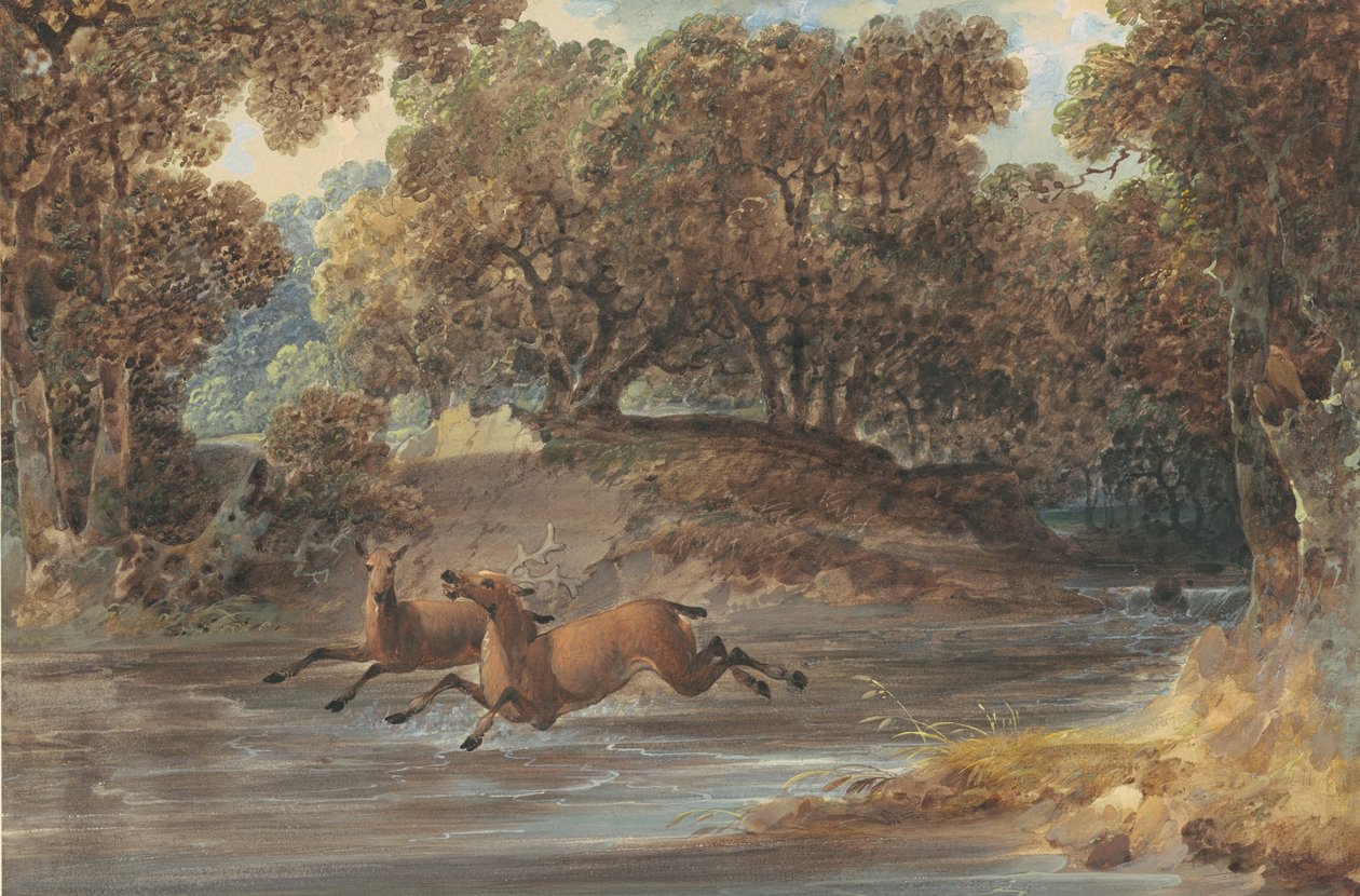 Landskap med rådjur, North Carolina, ca 1820 (wc och gouache över grafit på papper) av Joshua H. Shaw