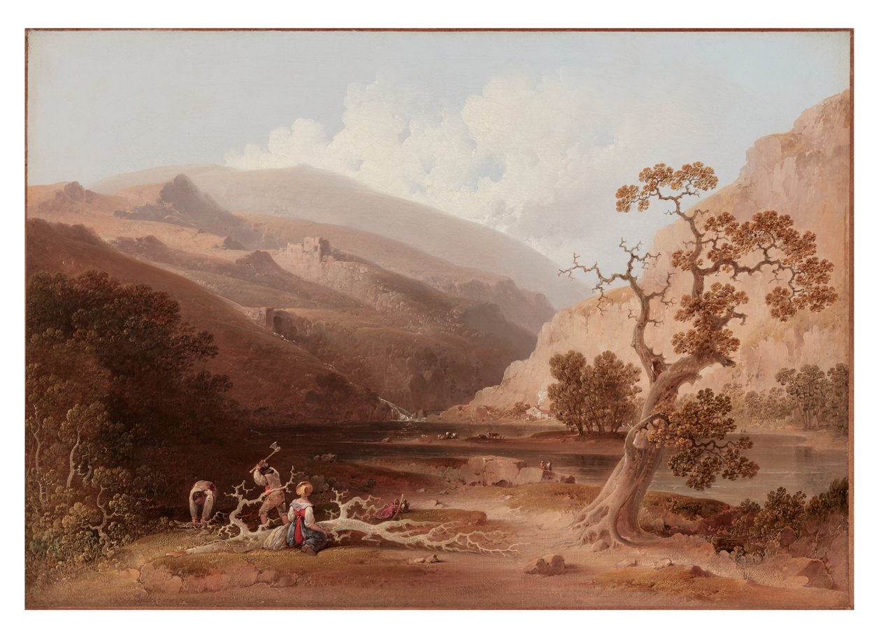 The Pioneers av Joshua H. Shaw