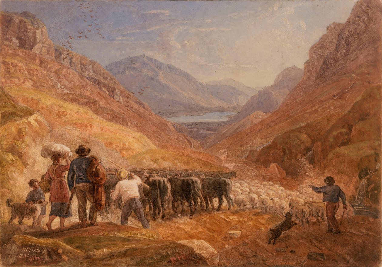 Herdar driver boskap och får genom Tal-y-Llyn-passet, Wales av Joshua Cristall