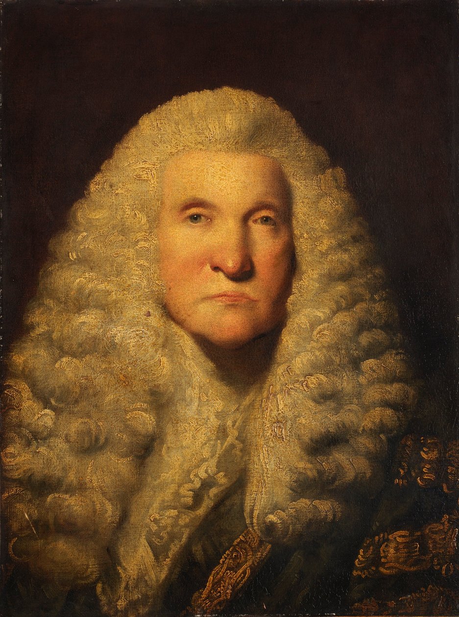 Lord Lifford av Joshua Reynolds