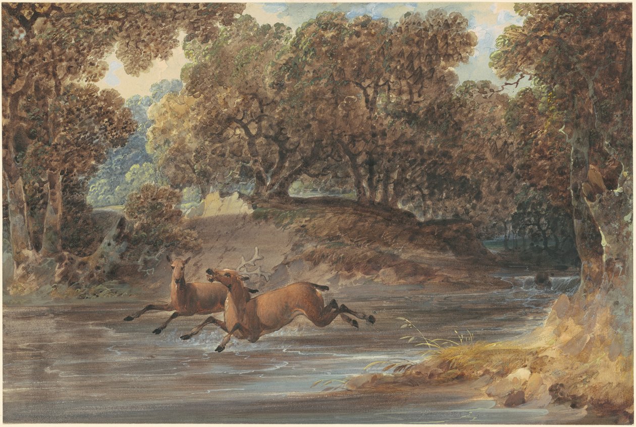 Landskap med rådjur, North Carolina av Joshua Shaw