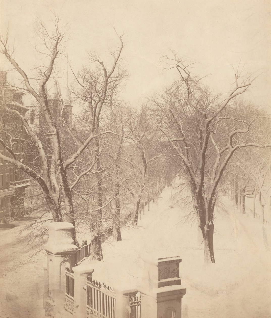 Boston Common Snow Scene,1850-talet (foto) av Josiah Johnson Hawes