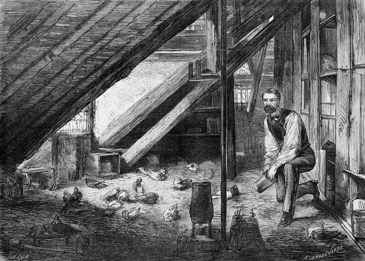 Brevduvor år 1870 (illustration) av Josse Photo