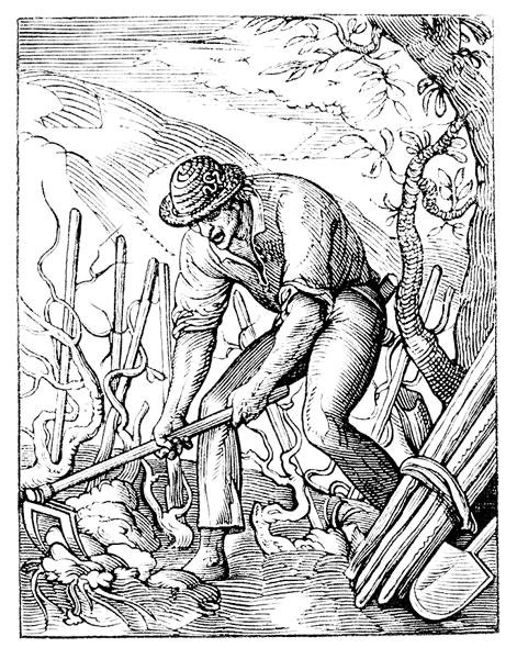 Vinodlaren (litho) (s/v foto) av Jost (after) Amman