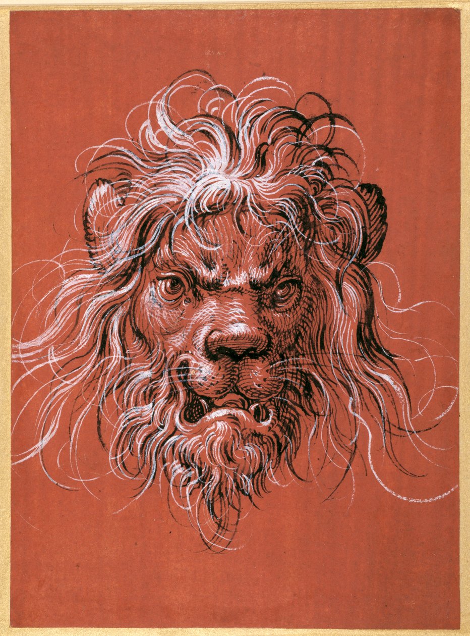 Lejonhuvud (penna och bläck med gouache på papper) av Jost Amman