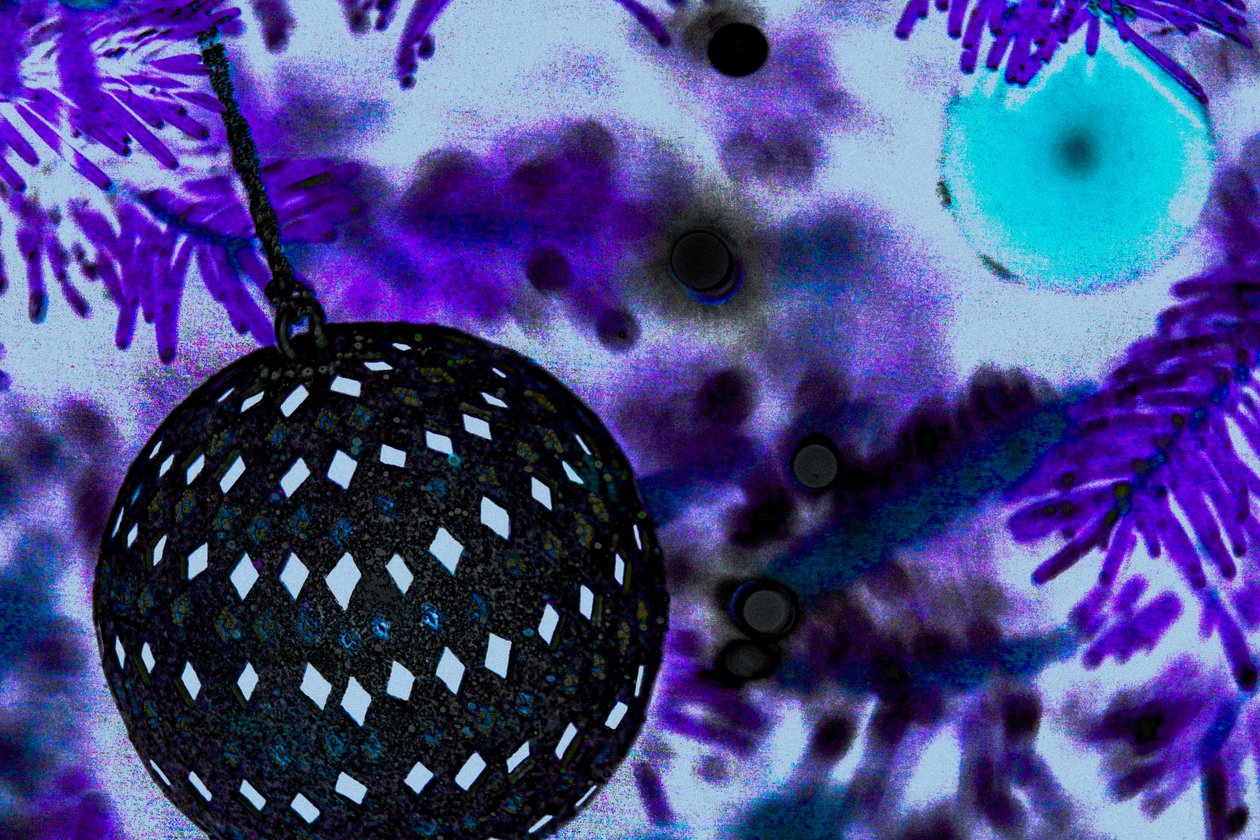 Ball Ornament, från serien The Christmas Tree, 2015 (ommålat fotografi) av Joy Lions