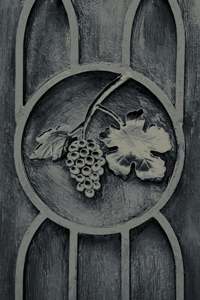 Fruits of the Garden, från serien The Observant, 2016 (fotografi) av Joy Lions