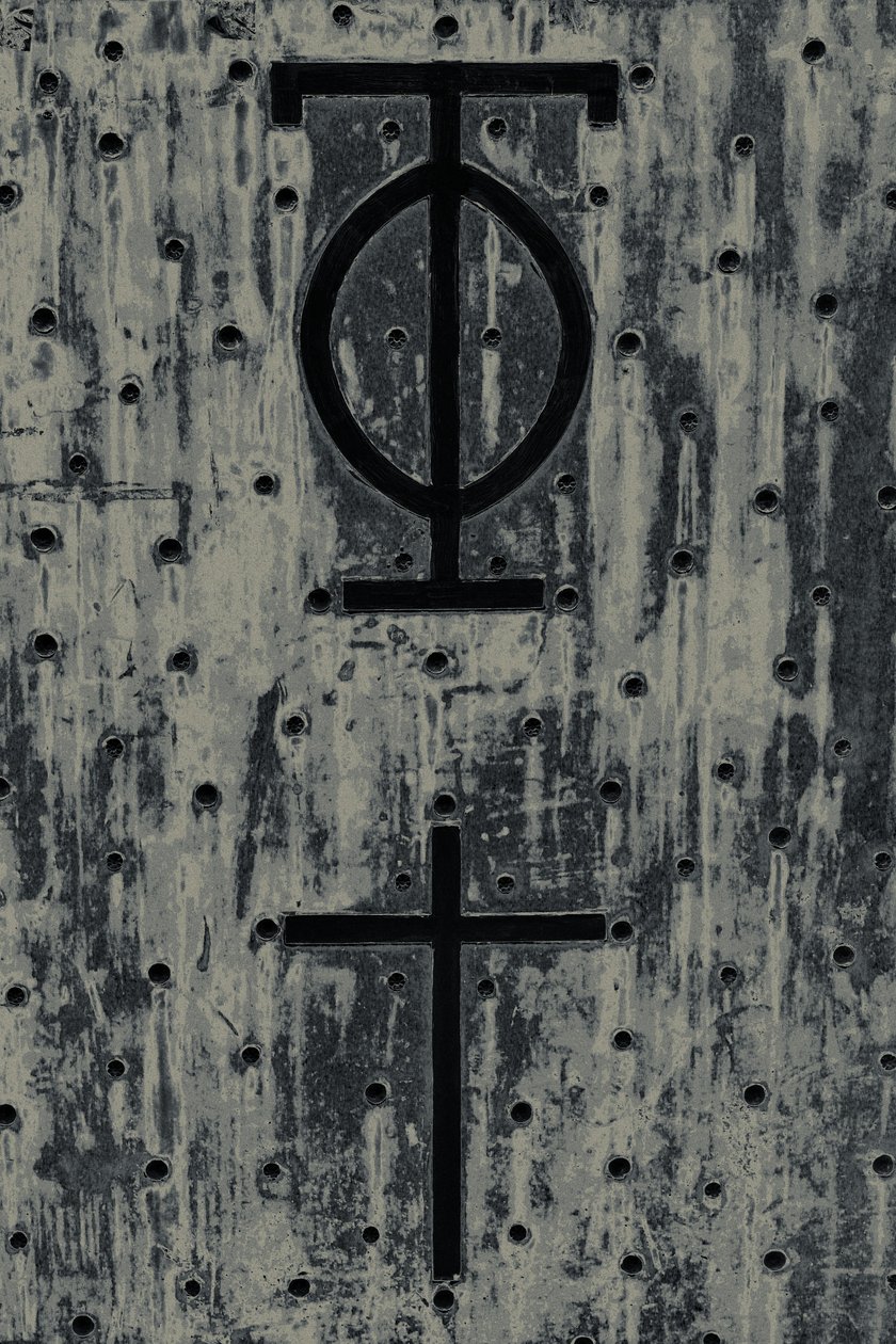 Icons, från serien The Observant, 2016 (fotografi) av Joy Lions
