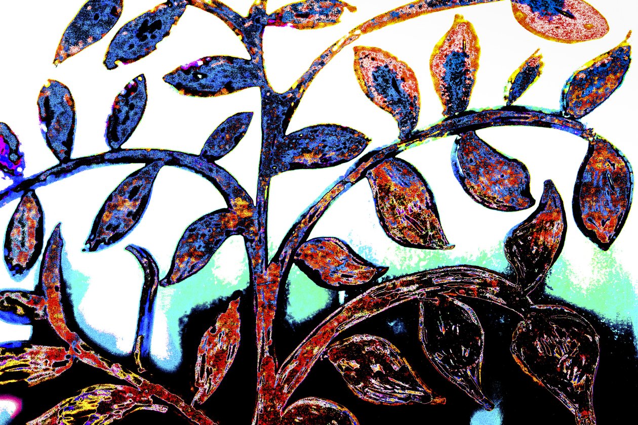 Spring, från serien, Italian Synagogue, 2015 (blandteknik) av Joy Lions