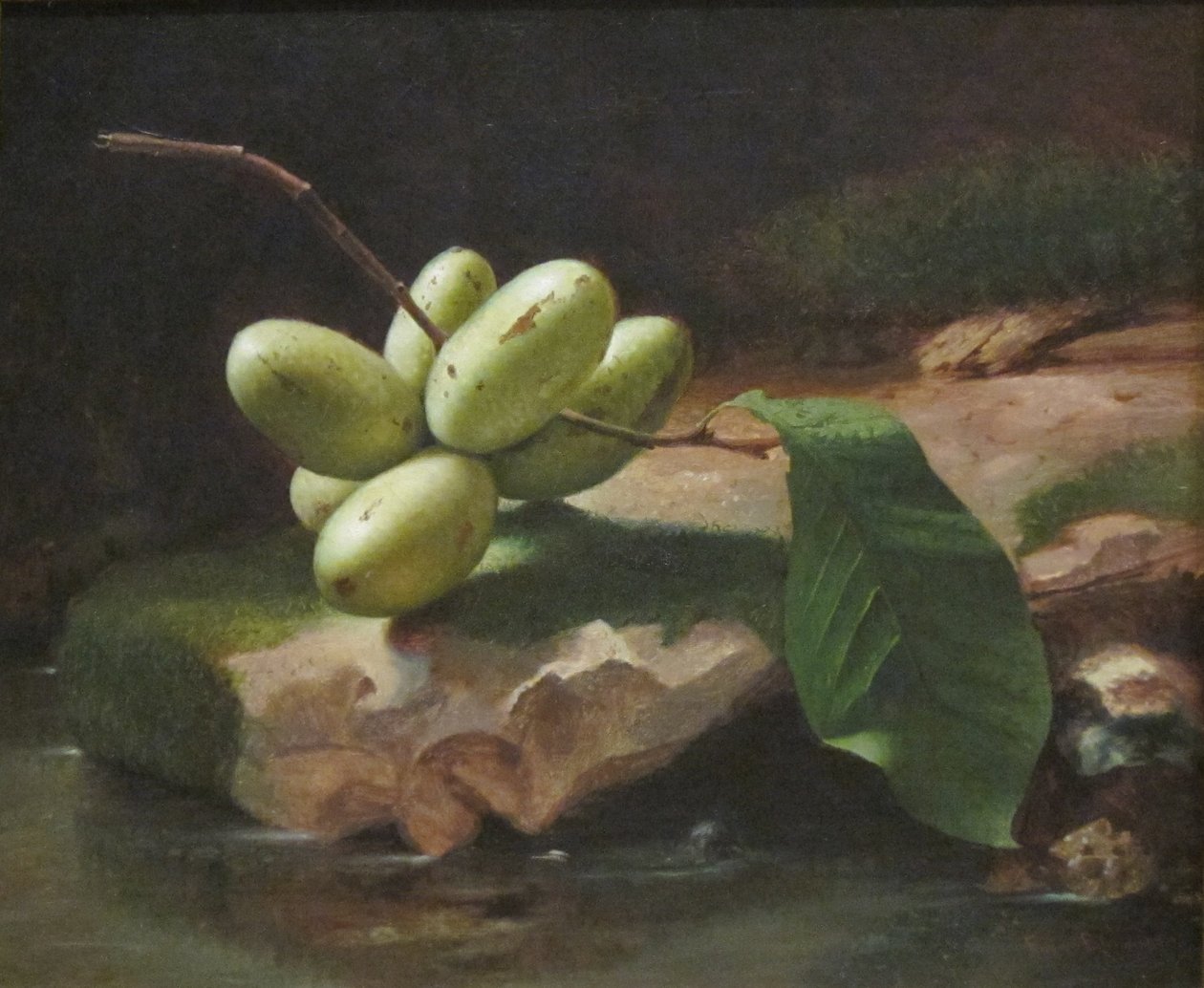 Stilleben med tassarna Paw Paws av Jr. Edward Edmondson