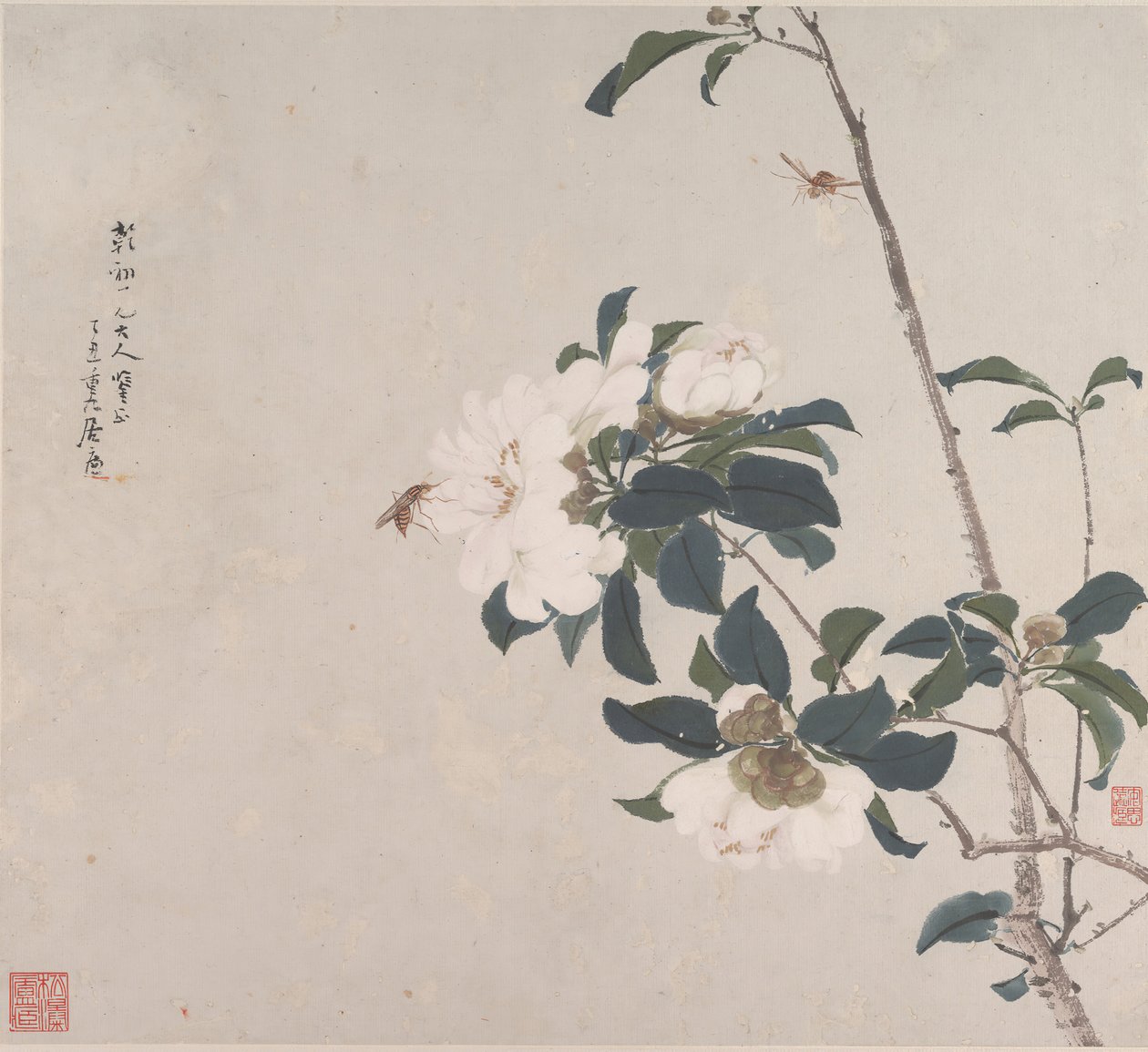 Insekter och blommor. av Ju Lian