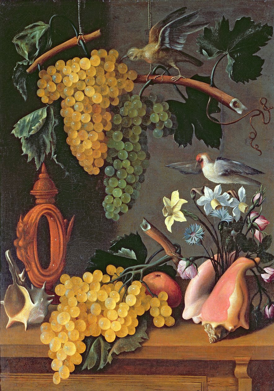 Stilleben med vindruvor, fåglar, blommor och snäckor av Juan de Espinosa