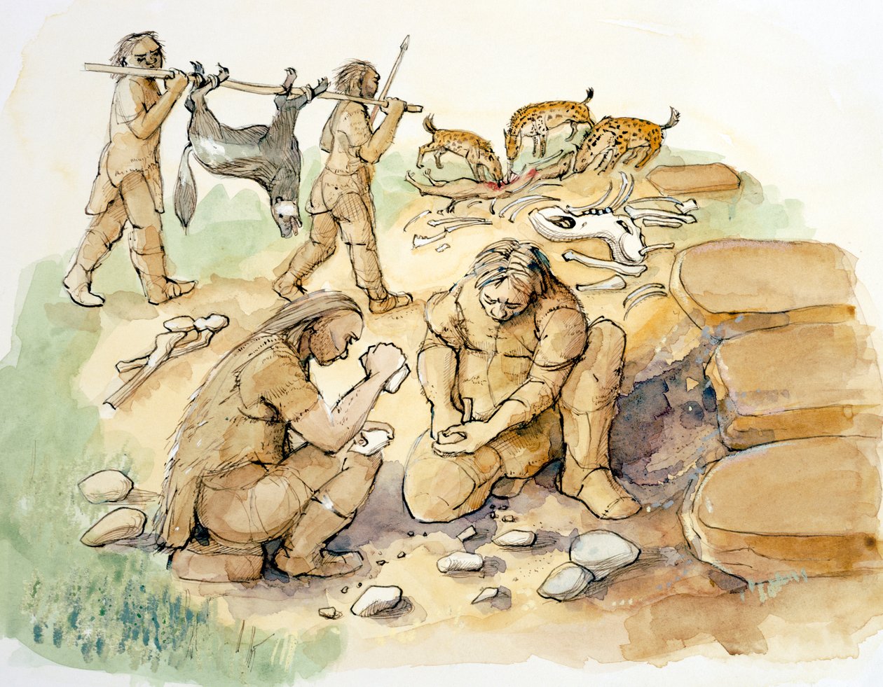 Hominider och hyenor, övre paleolitikum, c1990-2010 av Judith Dobie