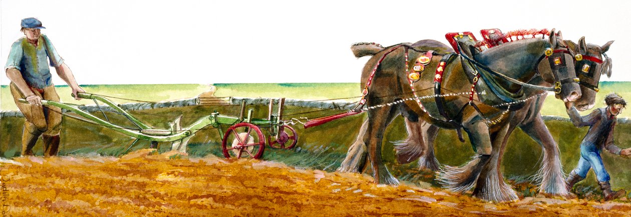 Plöjning, c1830-1900, c1990-2010 av Judith Dobie
