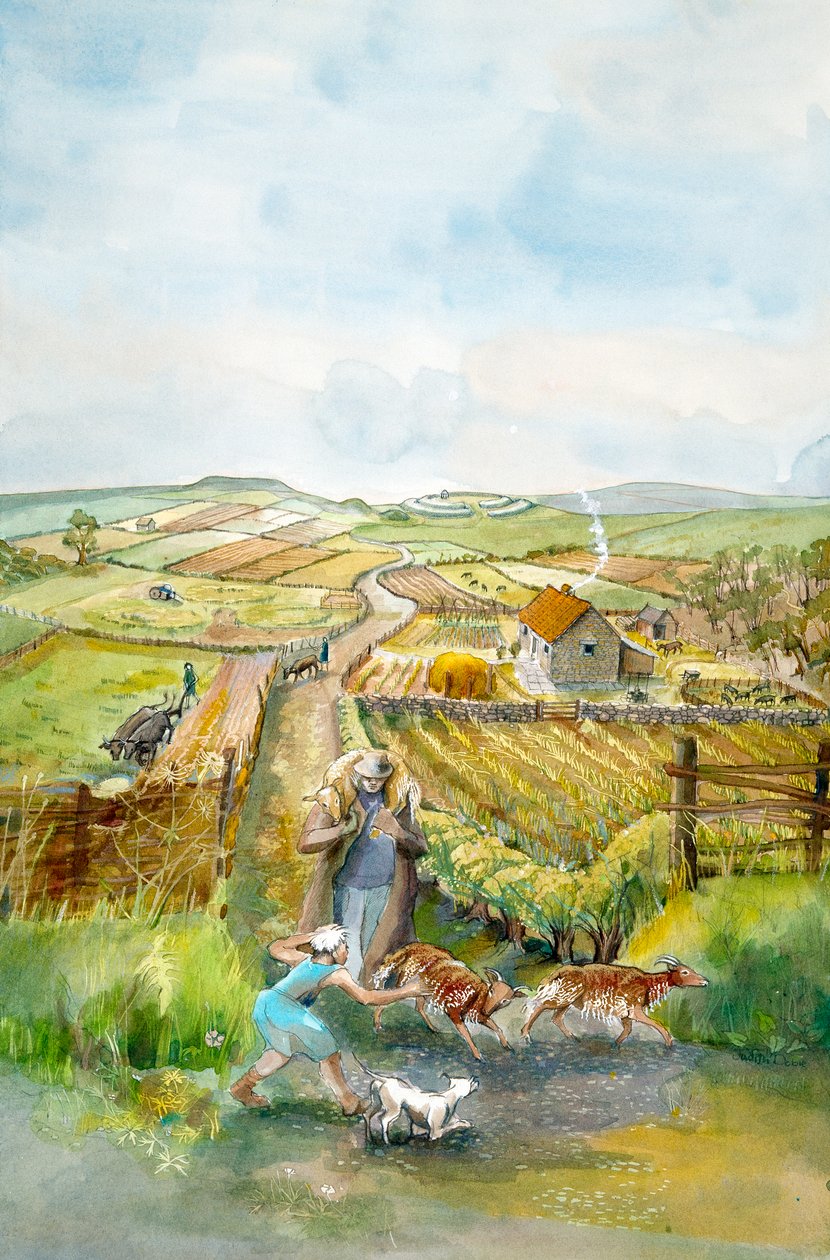 Landsbygdslandskap, 300-talet, c1990-2010 av Judith Dobie