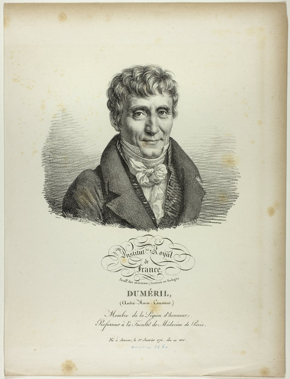 Porträtt av André-Marie-Constant Duméril av Jules Boilly