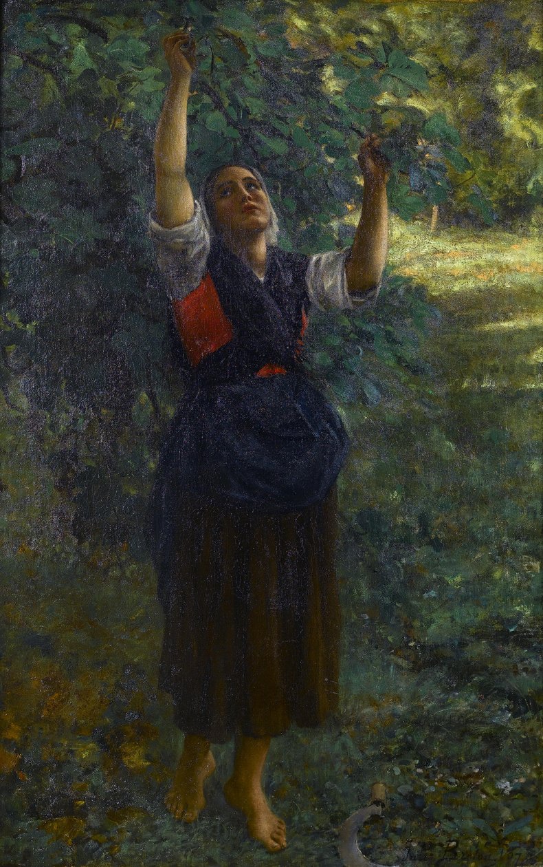 Franska: Cueilleuse de figues av Jules Breton